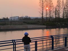-高东镇樱花园