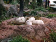 -湖南省地质博物馆