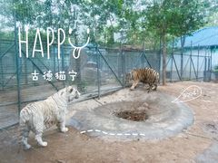 -龙口动植物园