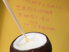 -志龙皇冠吃货椰子铺