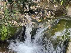 -中国茶叶博物馆(双峰馆区)