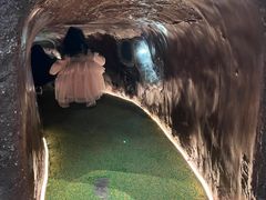 -同里国家湿地公园