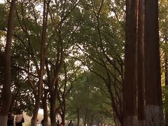 -苏州大学(天赐庄校区)