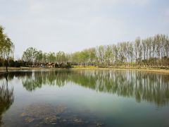 -东郊湿地公园