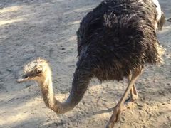 -祥源·阜阳生态乐园