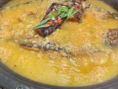 -探鱼·鲜青椒爽麻烤鱼(苏宁广场店)