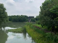 -同里国家湿地公园