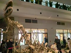 -自贡恐龙博物馆