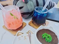 -喵园·猫主题咖啡厅·撸猫·猫咖(国贸店)