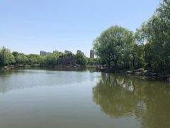 -紫薇公园