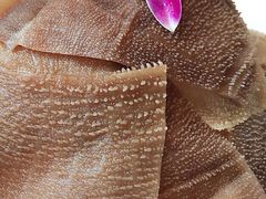 -草原塞蛮羊火锅城(港湾店)