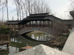 -合肥滨湖国家森林公园