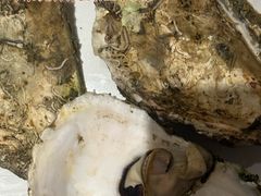 -星伦多自助料理·涮烤一体(江桥万达店)