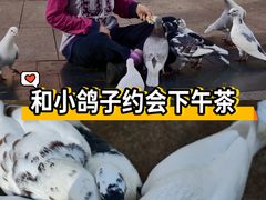 -中粮·祥云小镇