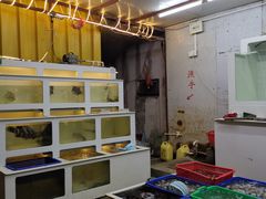 水产区-南蚝小贝海鲜特色餐厅(南澳岛店)