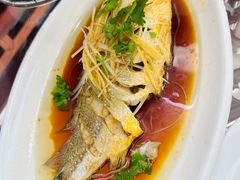 红烧深海黄鱼-望海潮海鲜店 特色家常菜(在海一方店)