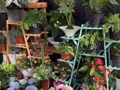 -FEI FEI FLOWER鲜花店·气球派对·宝宝宴布置(虹口德必运动Loft店)