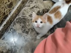 -美联众合动物医院·24h转诊中心
