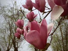 -艾溪湖湿地公园