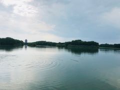 -苏州太湖国家湿地公园