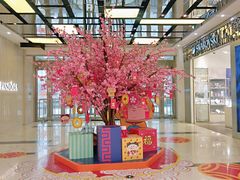 -凯德MALL(望京店)