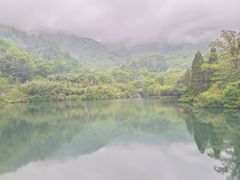 -东天目山风景区