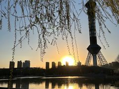 -裕华世纪公园