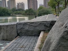-青枫公园