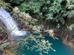 -花岩国家森林公园