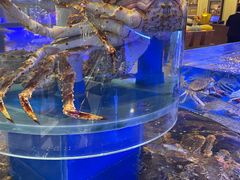 -新海渔港·胶东海鲜家常菜·家宴(奥体中心店)