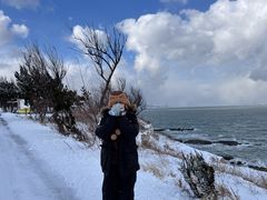 -养马岛旅游度假区