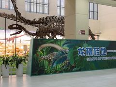 -广西壮族自治区博物馆