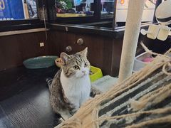 -弓舍射箭俱乐部(高新总店)