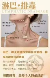 -YESIDO椰岛美容