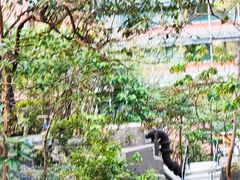 -香港大学