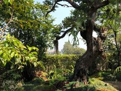 -Chom Cafe and Restaurant