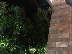 -绿茶餐厅(汇悦大融城店)