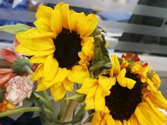 -迎燕阁烤羊腿(二环南路店)