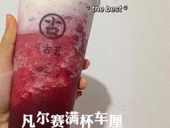凡尔赛满杯车厘子-古茗(东鼓道店)