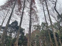-虎跑公园