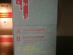 -上海动漫博物馆