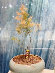 -故事馆手作综合体验馆