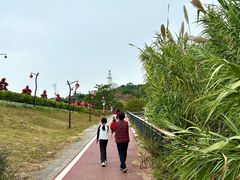 -丰依竹食·老牌竹筒饭