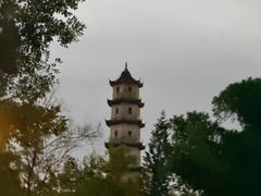-江心屿景区