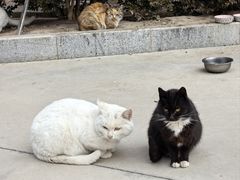 -炳灵寺世界文化遗产旅游区
