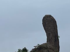 -磬锤峰森林公园