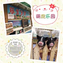 -萌宠亲子动物乐园(槐房万达店)