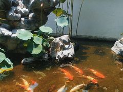 -道南書院·私房菜·早午茶·茶馆