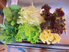 时蔬拼盘-老版火锅.12年西安排队王(沣峪口店)