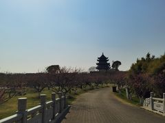 -上海海湾国家森林公园